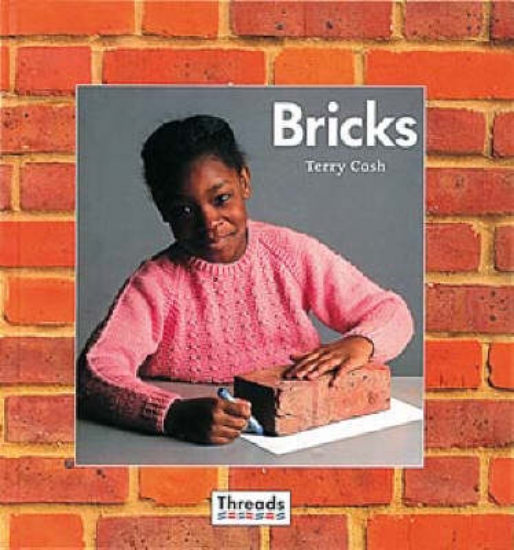 Picture of Bricks