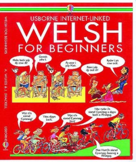 Picture of Welsh for Beginners: Internet Link Bk &