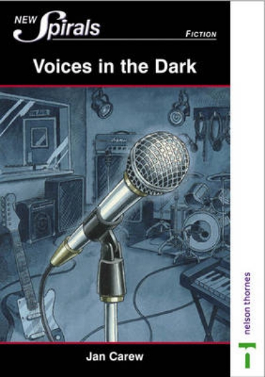 Picture of Voices in the Dark