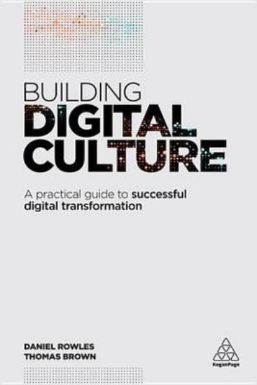 Picture of Building Digital Culture