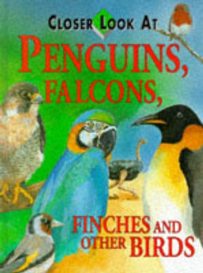 Picture of Closer Look At:Penguins, Falcons, Finches &amp; Ot