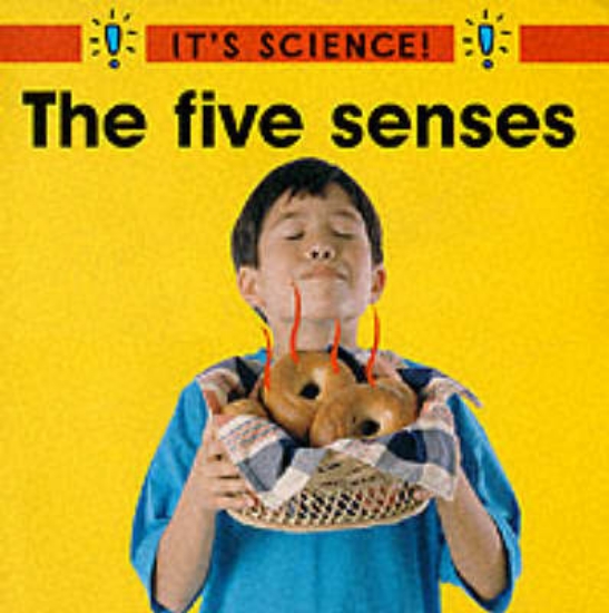 Picture of It's Science:Five Senses