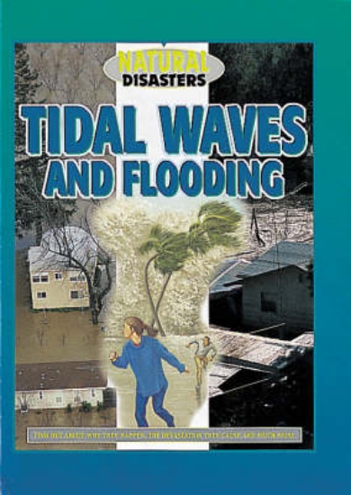 Picture of Natural Disasters: Tidal Waves