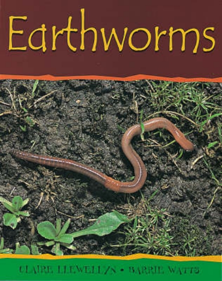 Picture of Earthworms