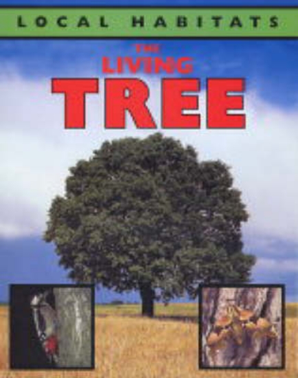 Picture of The Living Tree