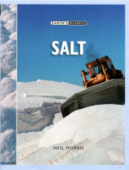 Picture of Salt