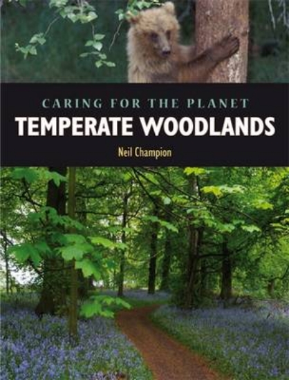 Picture of Caring for the Planet: Temperate Woodland