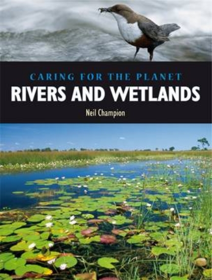 Picture of Caring for the Planet: Rivers and Wetlands