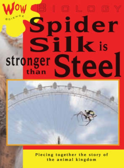 Picture of Wow Science: Biology-Spider Silk is Stronger than