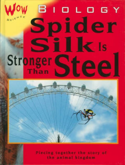 Picture of Wow Science: Biology-Spider Silk is Stronger than