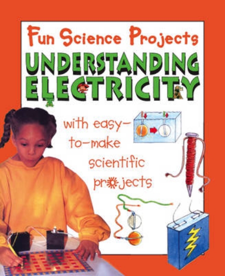 Picture of Fun Science Projects: Understanding Electricity