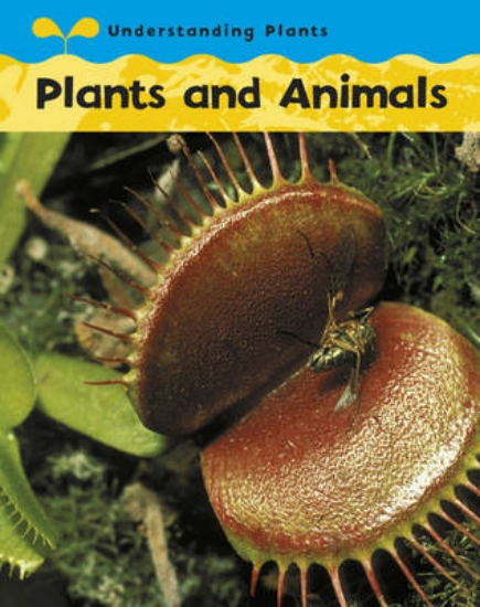 Picture of Understanding Plants: Plants and Animals