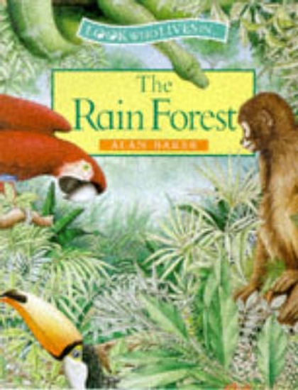 Picture of The Rain Forest