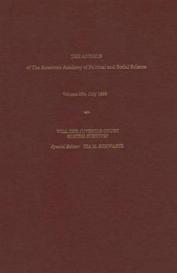 Picture of Will the Juvenile Court System Survive?