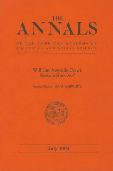 Picture of Will the Juvenile Court System Survive?