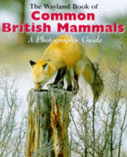 Picture of Wayland Book of: Common British Mammals