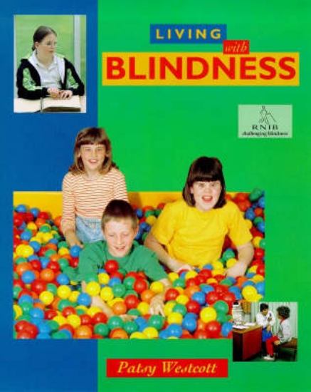 Picture of Blindness