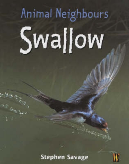Picture of Animal Neighbours: Swallow