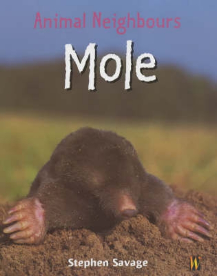 Picture of Animal Neighbours: Mole