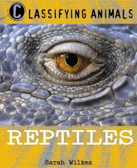 Picture of Classifying Animals: Reptiles