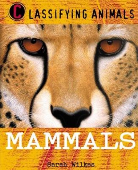 Picture of Classifying Animals: Mammals